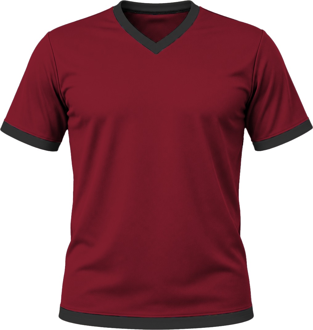 Ringer Ladies V-Neck T-shirt, Fitted Short Sleeve, Birdseye