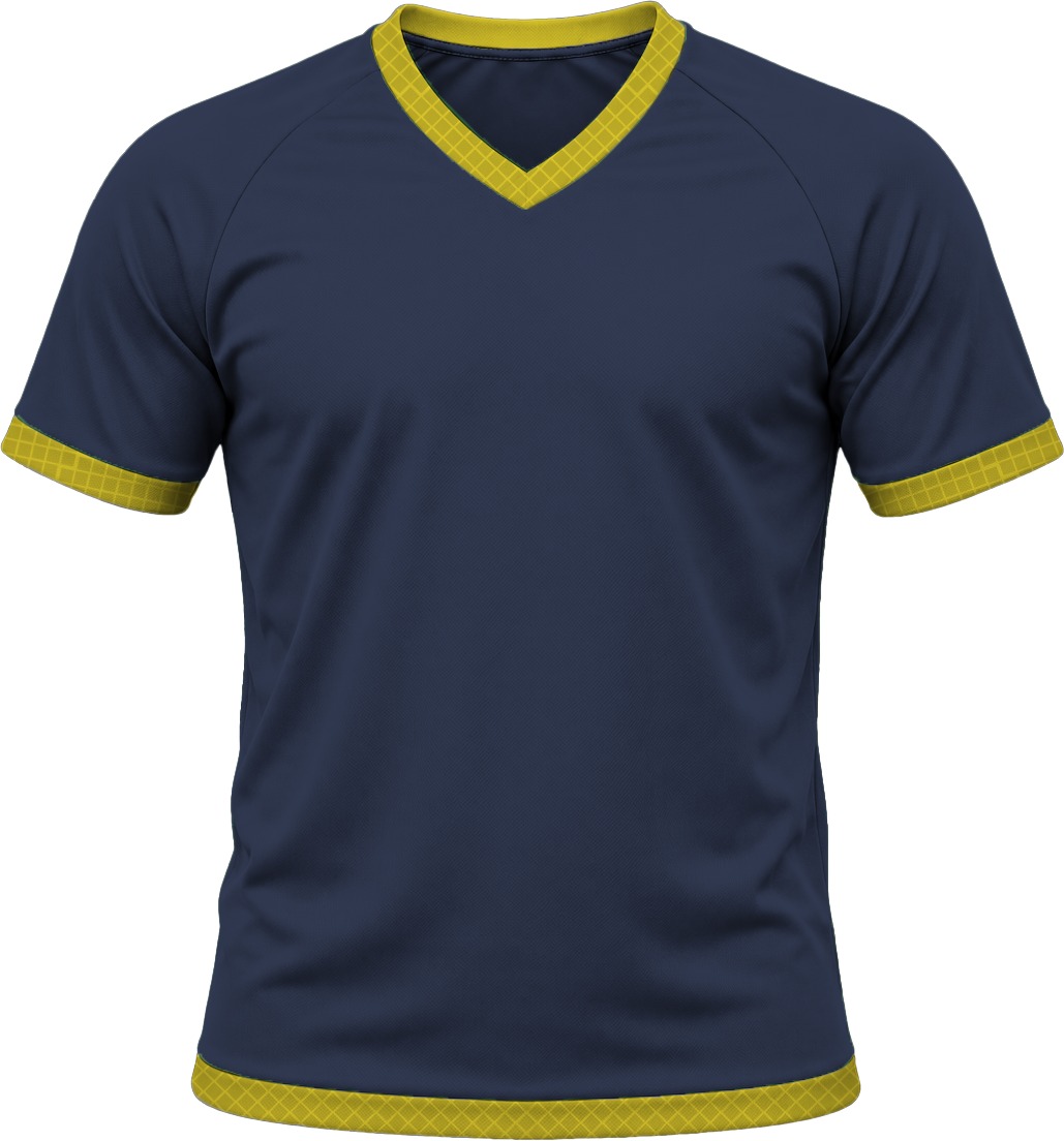 19Ten Ladies V-Neck T-shirt, Raglan Short Sleeve, Reverse Birdseye