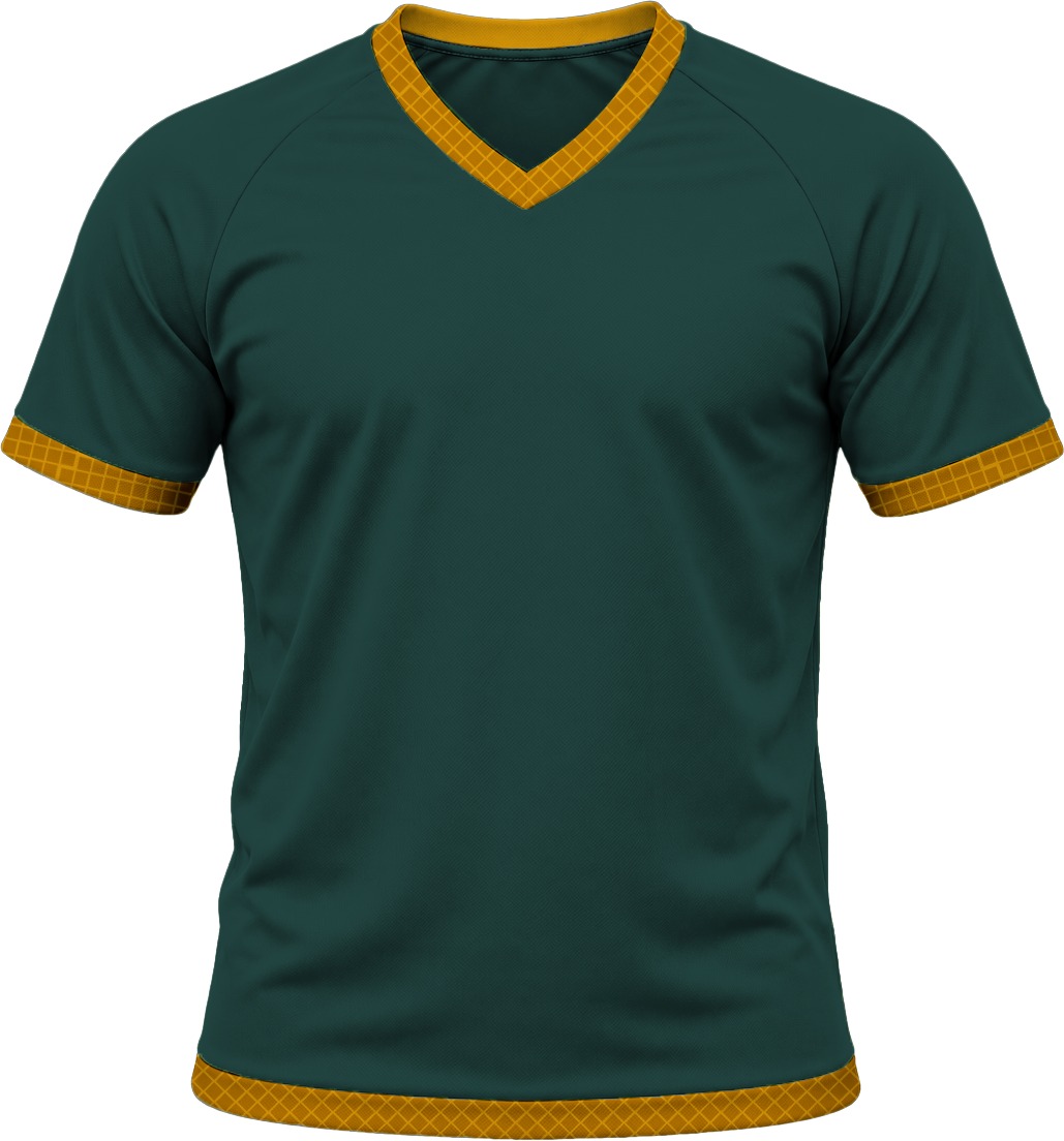 19Ten Unisex V-Neck T-shirt, Raglan Short Sleeve, Reverse Birdseye