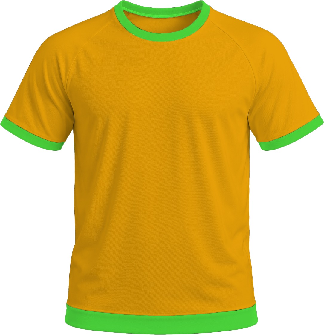 Ringer Ladies Crew Neck T-shirt, Raglan Short Sleeve, Birdseye