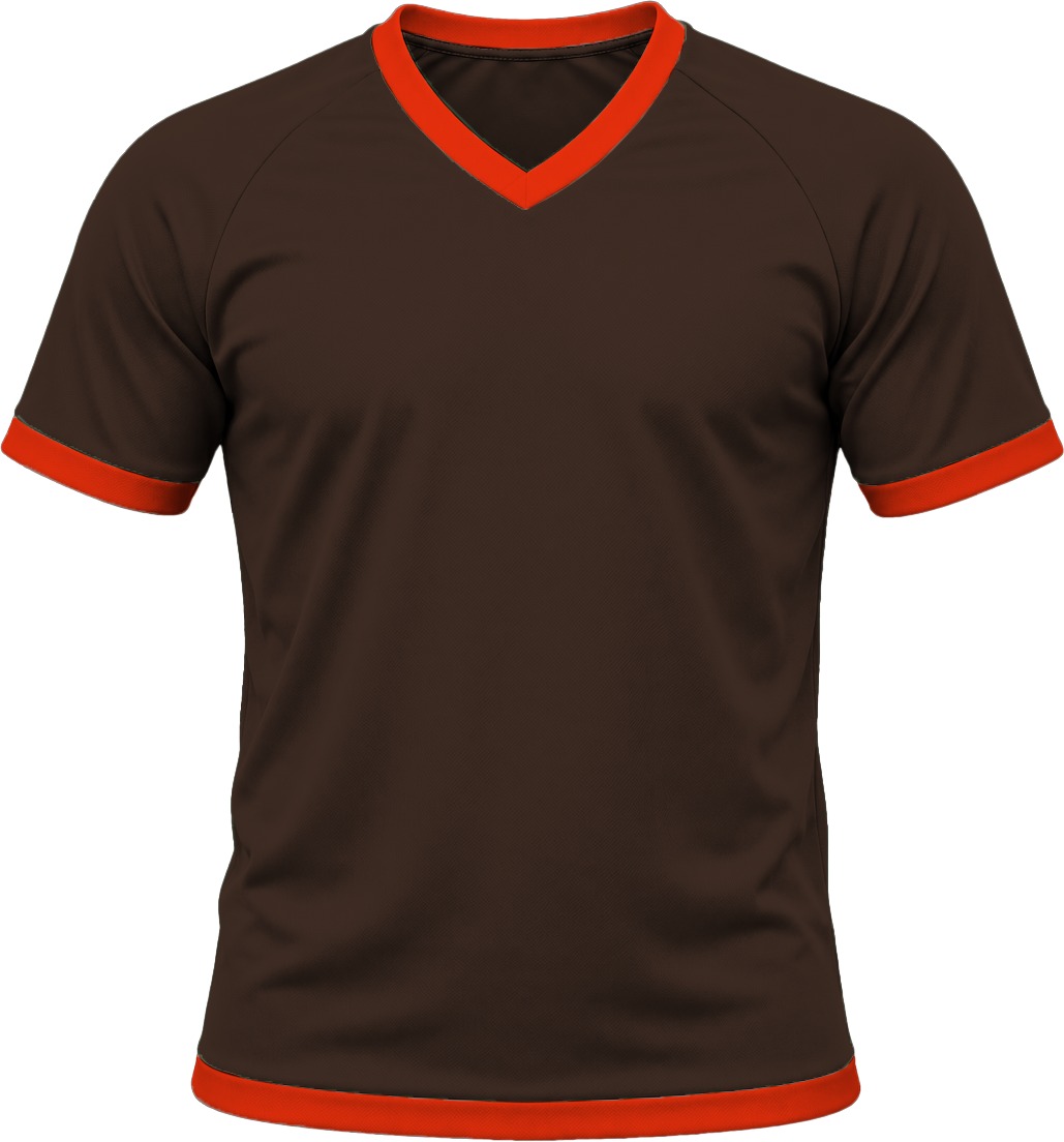 Ringer Ladies V-Neck T-shirt, Raglan Short Sleeve, Birdseye