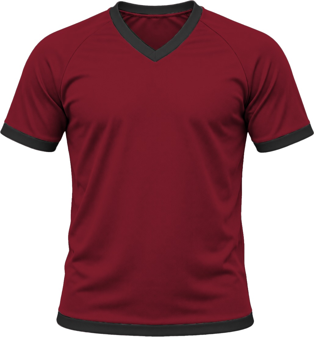 Ringer Ladies V-Neck T-shirt, Raglan Short Sleeve, Birdseye