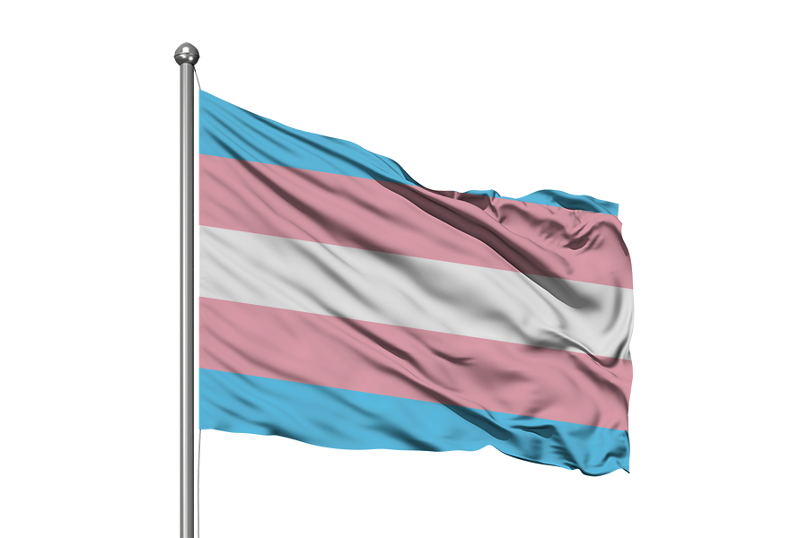 TRANSGENDER FLAG 180 x 120cm (display fabric)