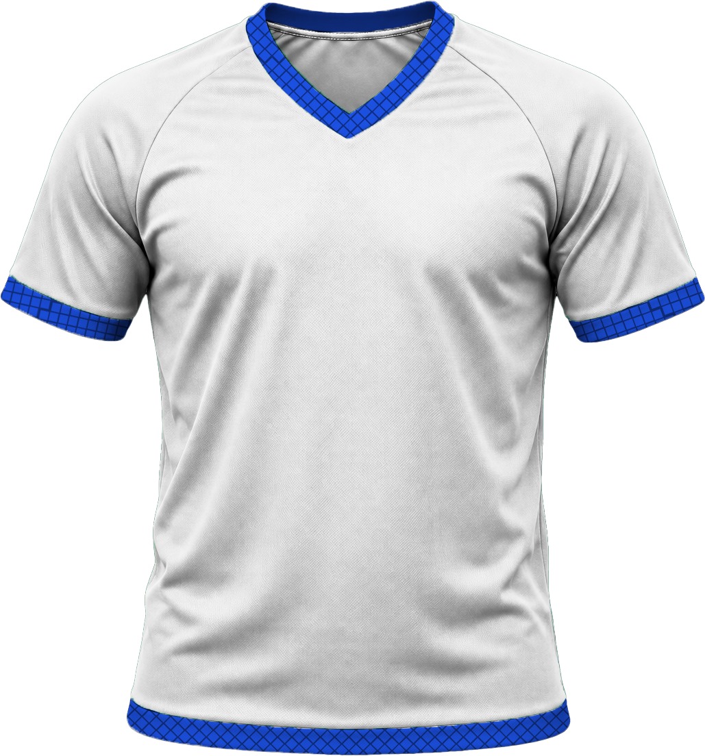 19Ten Ladies V-Neck T-shirt, Raglan Short Sleeve, Birdseye