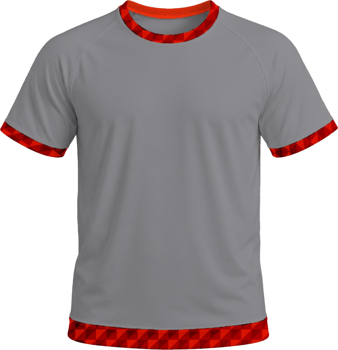 19Ten Ladies Crew Neck T-shirt, Raglan Short Sleeve, Birdseye