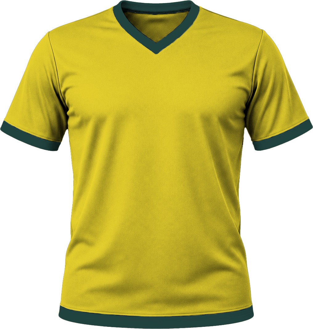 Ringer Ladies V-Neck T-shirt, Fitted Short Sleeve, Birdseye