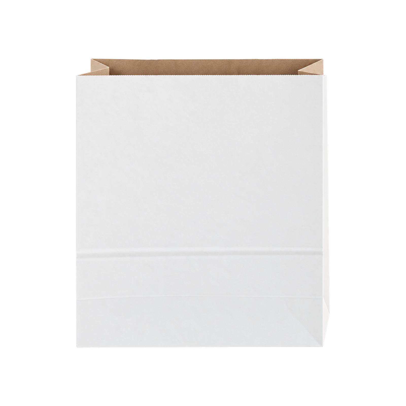 Willow White Paper Bag without Handles