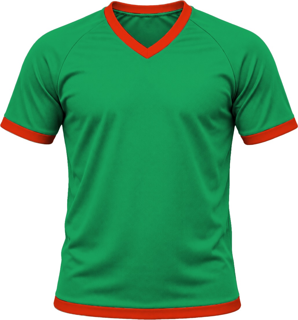 Ringer Ladies V-Neck T-shirt, Raglan Short Sleeve, Reverse Birdseye